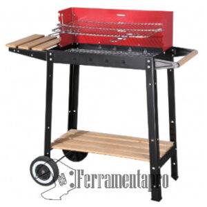 Barbecue a Carbone XZ02D